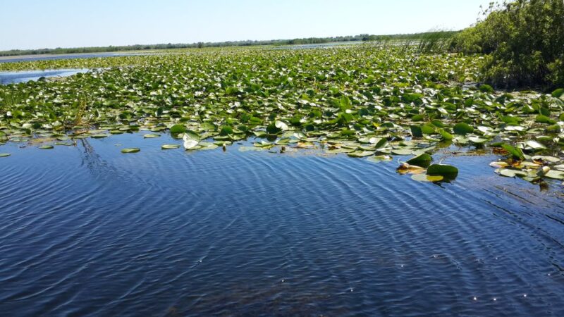 From Bucharest: 3-Day Danube Delta Birdwatching Private Tour - Itinerary Highlights