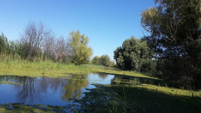 From Bucharest: 3-Day Danube Delta Birdwatching Private Tour - Included Activities