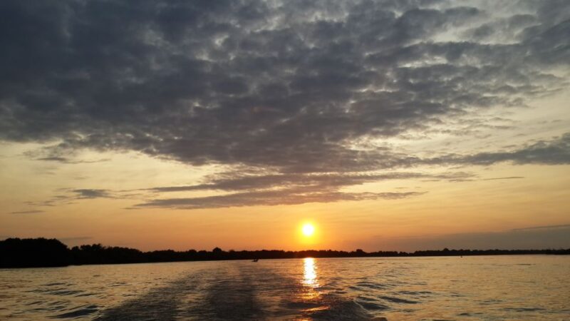 From Bucharest: 3-Day Danube Delta Birdwatching Private Tour - Accommodation and Meals