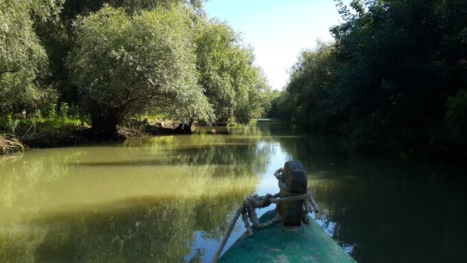 From Bucharest: 3-Day Danube Delta Birdwatching Private Tour - Frequently Asked Questions