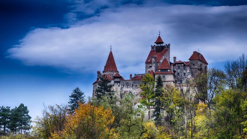 From Bucharest: 7-Day Adventure Tour in Romania - Key Points