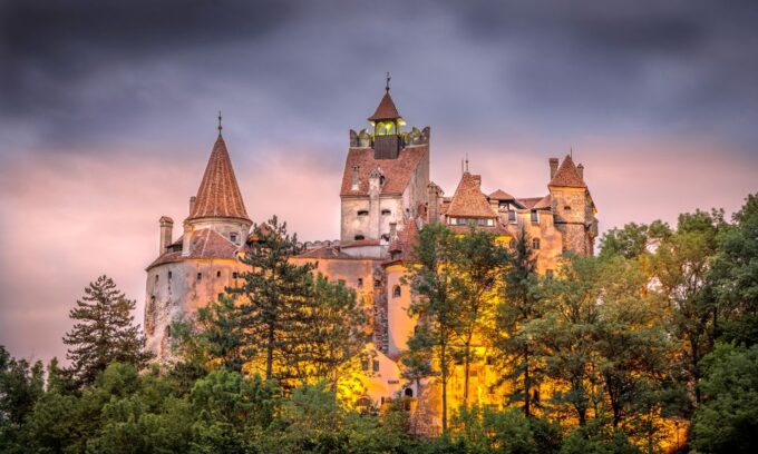 From Bucharest: A Taste of Transylvania: Private Tour - Customer Feedback