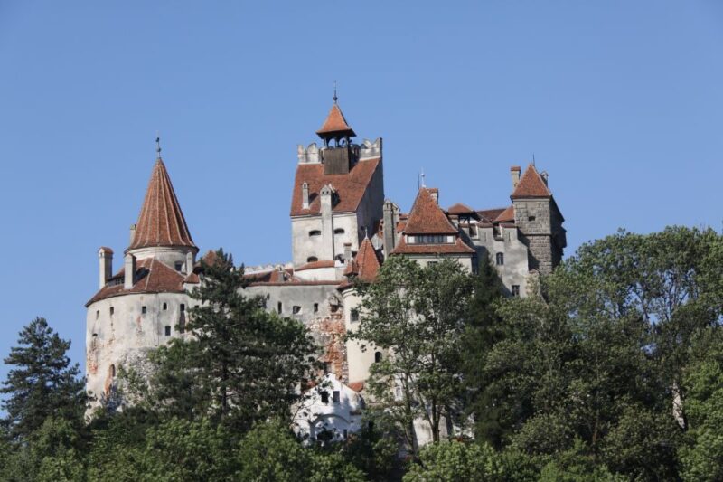 From Bucharest: Bear Sanctuary and Dracula Castle Day Tour - Inclusions and Exclusions