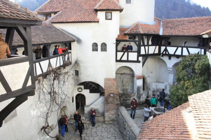 From Bucharest: Bear Sanctuary and Dracula Castle Day Tour - Important Information