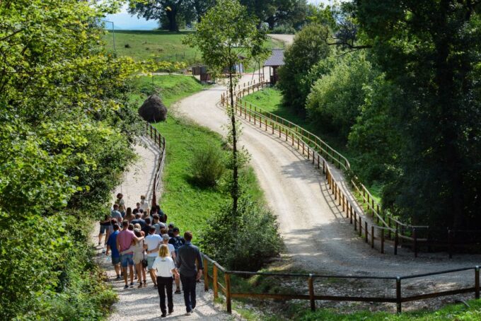 From Bucharest: Bear Sanctuary and Dracula Castle Day Tour - Frequently Asked Questions