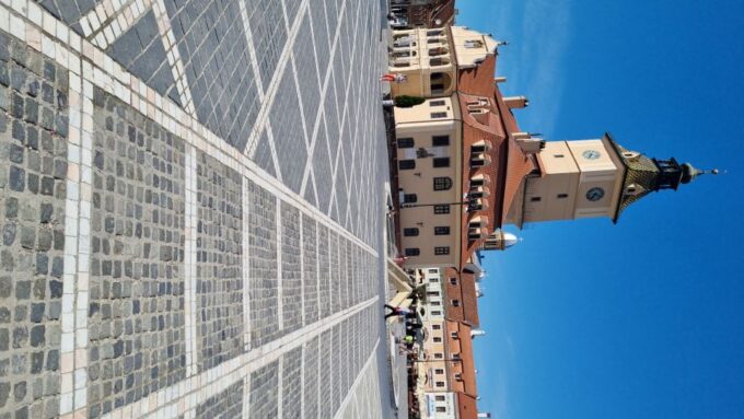From Bucharest: Bran, Peles Castle & Brasov Private Day Tour - Inclusions and Exclusions