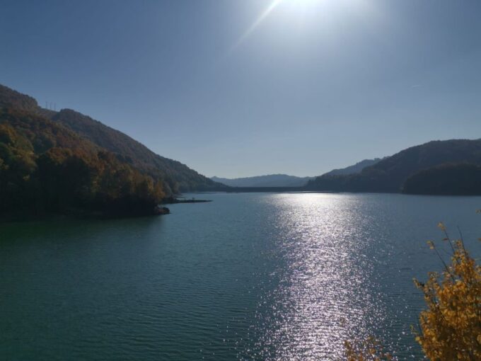 From Bucharest: Carpathian Villages and Sinaia Day Trip - Booking and Cancellation Policy