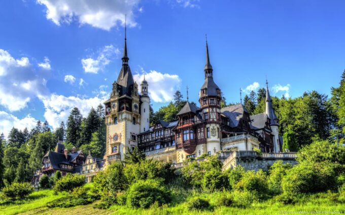 From Bucharest: Day Trip to Dracula and Peles Castle - Included Amenities and Services