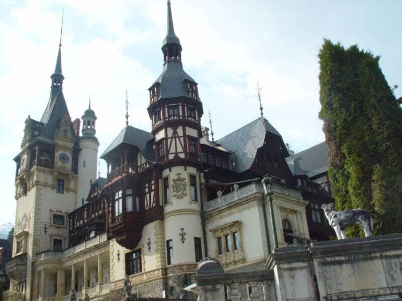 From Bucharest: Dracula Castle Day Trip - Inclusions