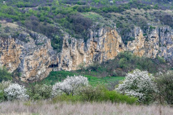 From Bucharest: Experience Bulgaria Small-Group Trip - Customer Reviews and Feedback