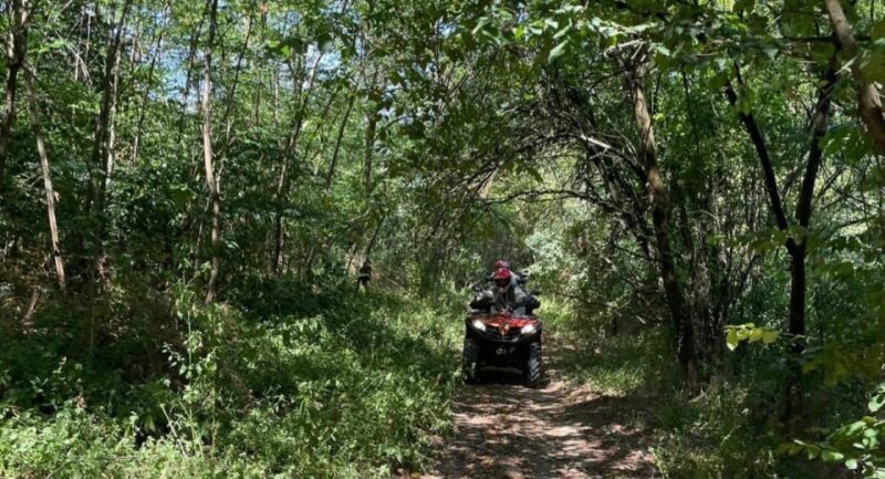 From Bucharest: Forest and Hills ATV Quad Bike Tour - Tour Equipment