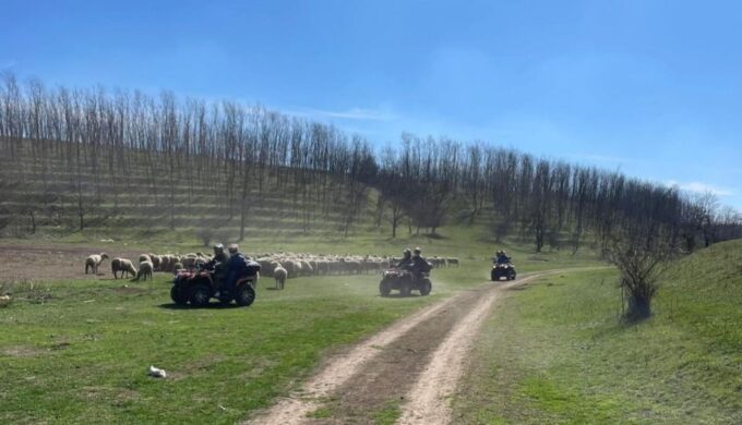 From Bucharest: Forest and Hills ATV Quad Bike Tour - Safety and Guidance