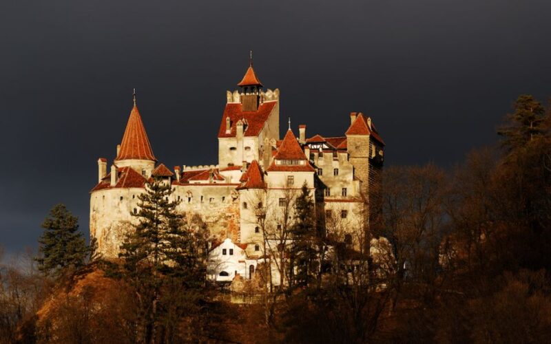 From Bucharest: Peleș and Bran Castles Private Tour - Transportation and Accessibility