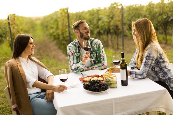 From Bucharest: Private Wine Tasting Tour in Dealu Mare Wineland - Key Points