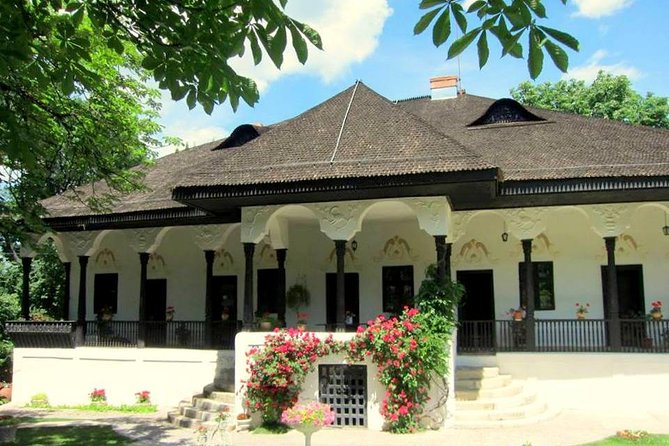 From Bucharest: Private Wine Tasting Tour in Dealu Mare Wineland - Transportation and Accessibility