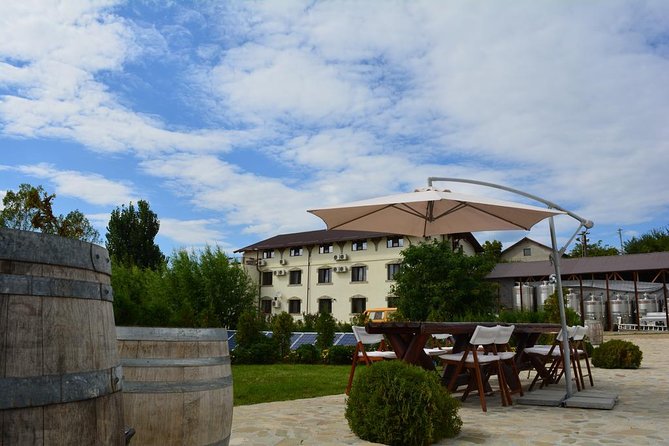 From Bucharest: Private Wine Tasting Tour in Dealu Mare Wineland - Tasting Sessions at Wineries