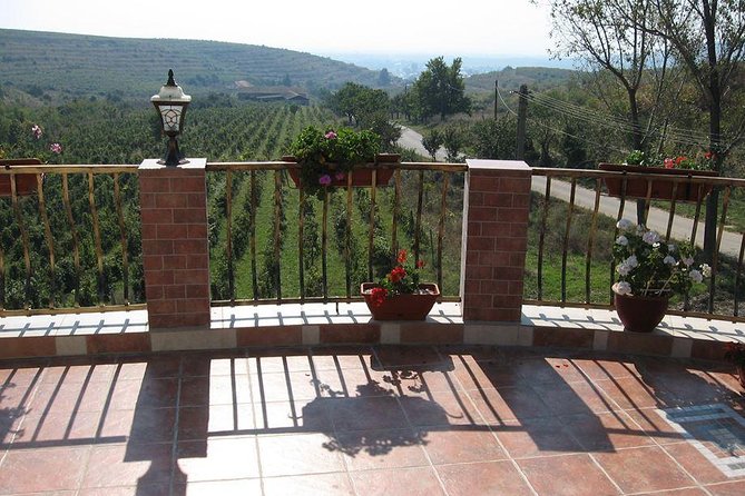 From Bucharest: Private Wine Tasting Tour in Dealu Mare Wineland - Lunch Options at Wineries