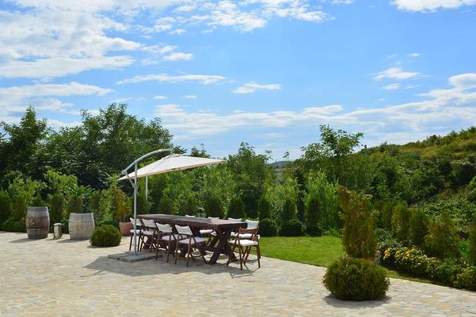 From Bucharest: Private Wine Tasting Tour in Dealu Mare Wineland - Tour Reviews and Highlights