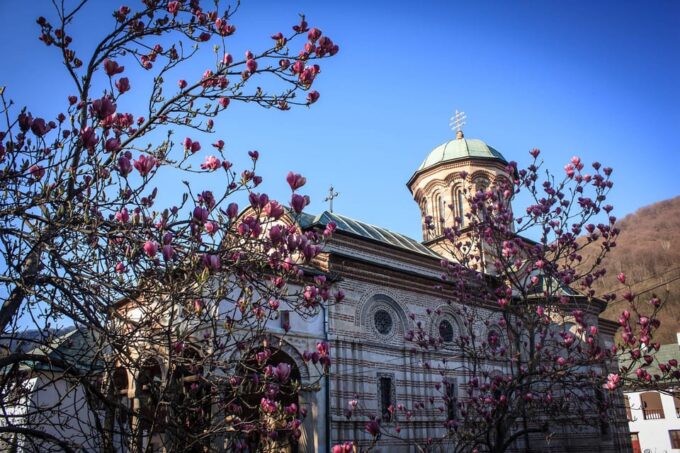 From Bucharest: Unravel Medieval Transylvania in 3-Day Tour - Sighișoara and the Black Church in Brasov