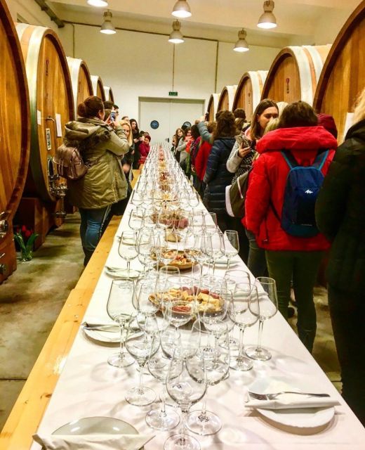 From Bucharest: Wine Tasting & Sunset on Old Wine Road - Key Points