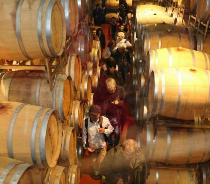 From Bucharest: Wine Tasting & Sunset on Old Wine Road - Highlights and Features