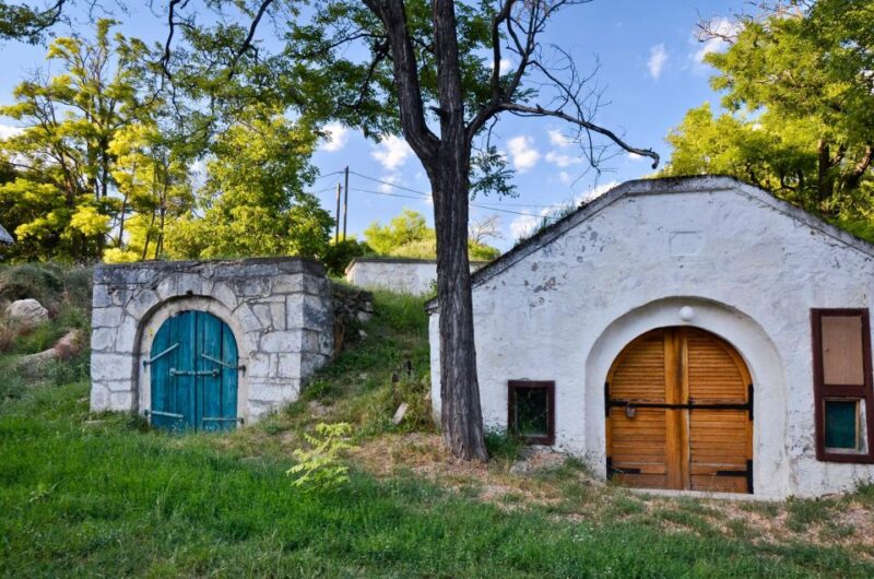 From Budapest: Etyek Half-Day Wine Tour - Key Points
