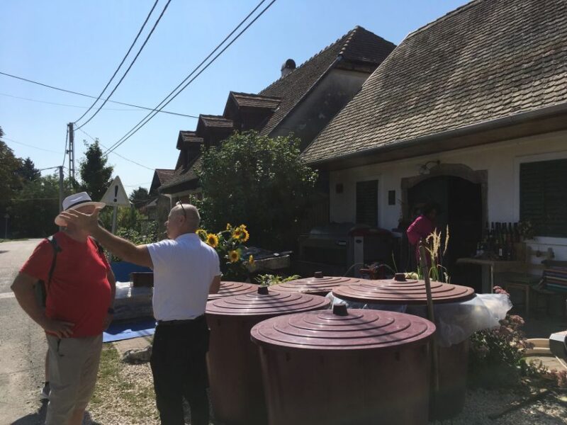 From Budapest: Etyek Half-Day Wine Tour - Itinerary and Experience