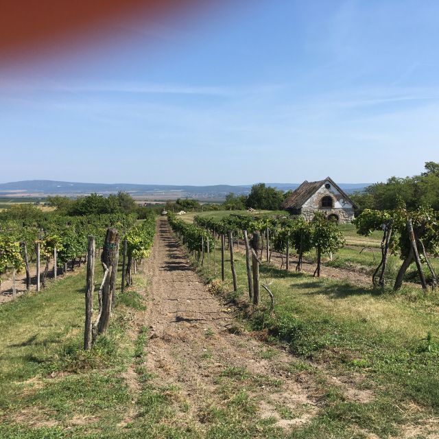From Budapest: Etyek Half-Day Wine Tour - Guided Tour Details