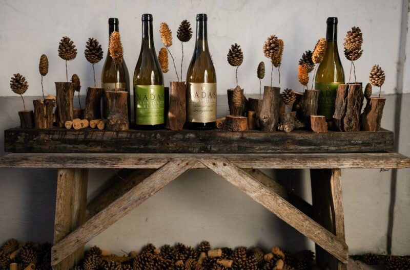 From Budapest: Etyek Half-Day Wine Tour - Pickup and Transportation