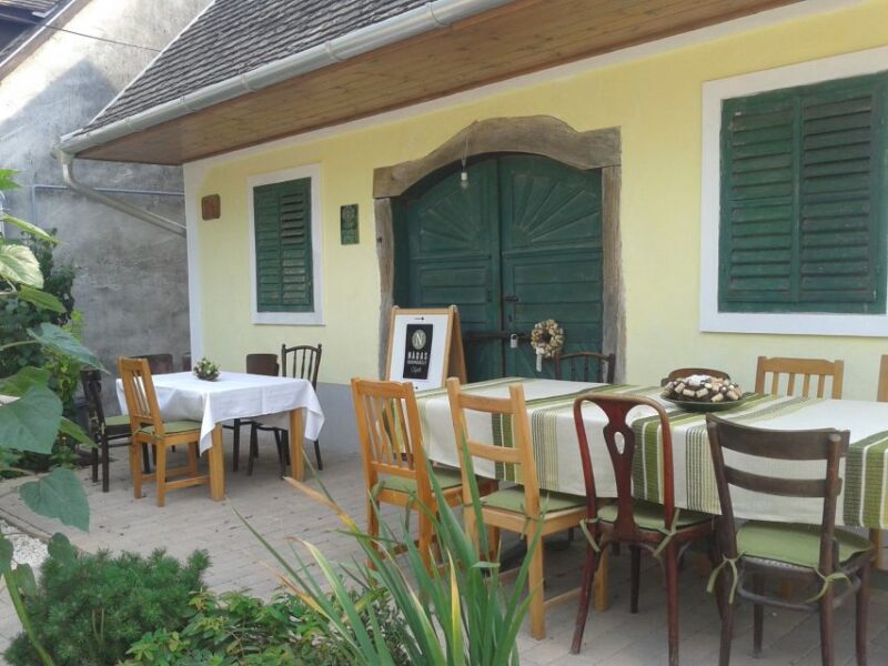 From Budapest: Etyek Half-Day Wine Tour - Wine Tasting and Dining