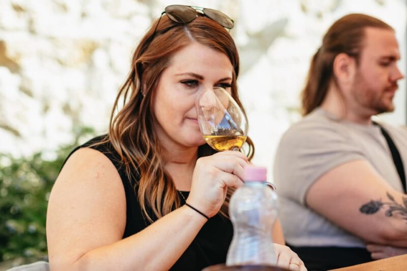 From Budapest: Etyek Wine Tasting Tour With 3-Course Meal - Inclusions