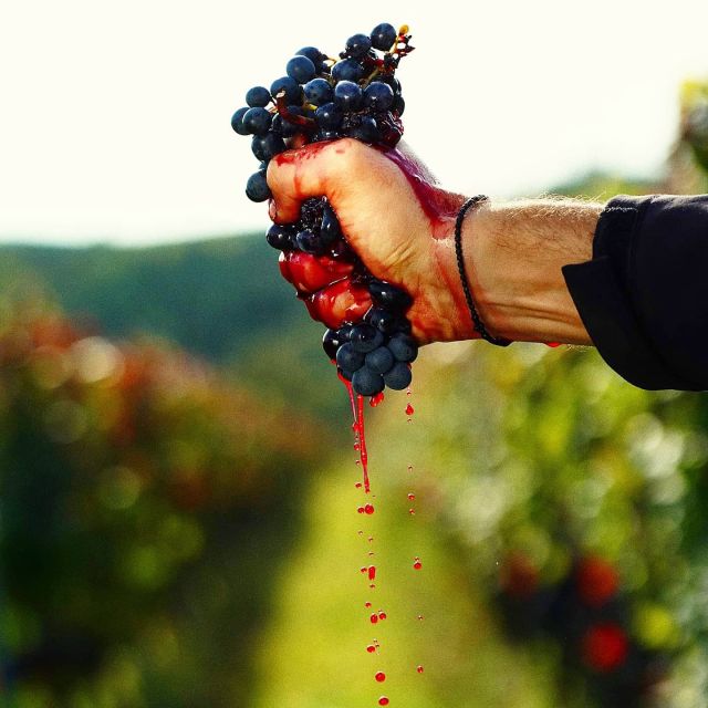 From Budapest: Guided Tour of Eger With Wine Tasting - Spa Experience