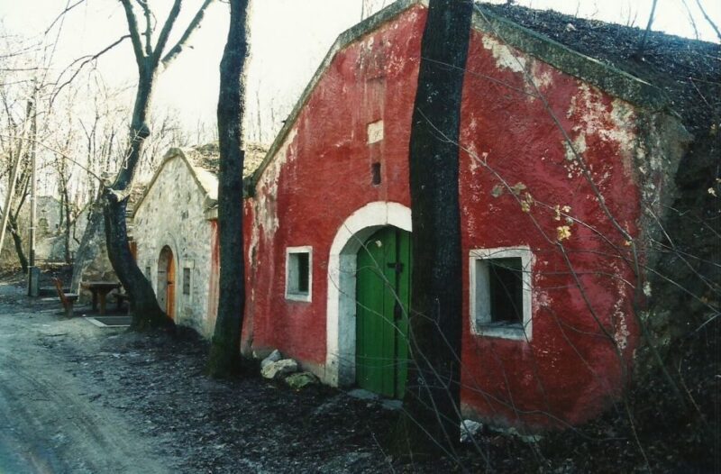 From Budapest: Páty Wine Village Tour With Tastings - Key Points