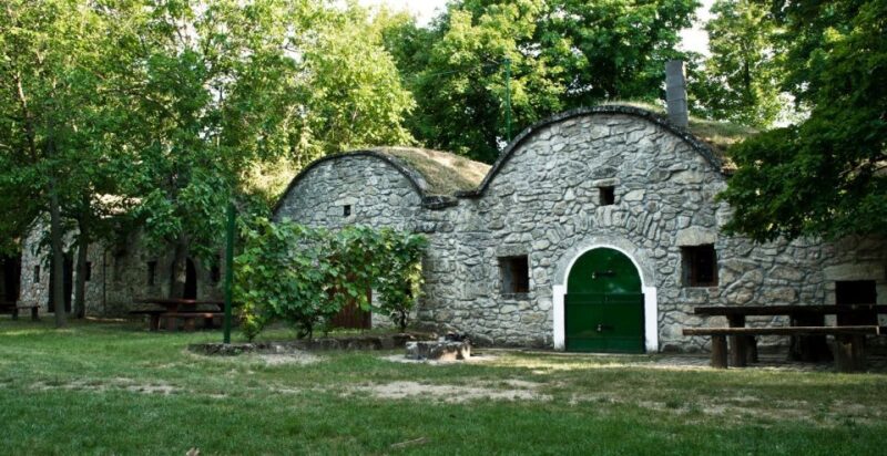 From Budapest: Páty Wine Village Tour With Tastings - Hungarys Wine Tradition