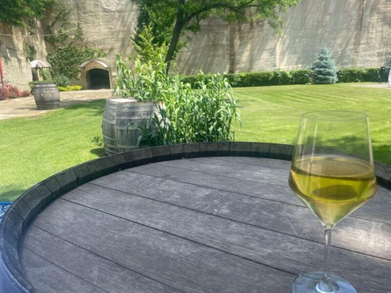 From Budapest: Private Sightseeing And Wine Tour in Eger - Eger: A Historic Wine Region