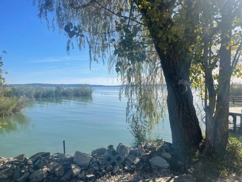 From Budapest: Wine Tasting At Balaton Full Day Private Tour - Wine Tasting Regions