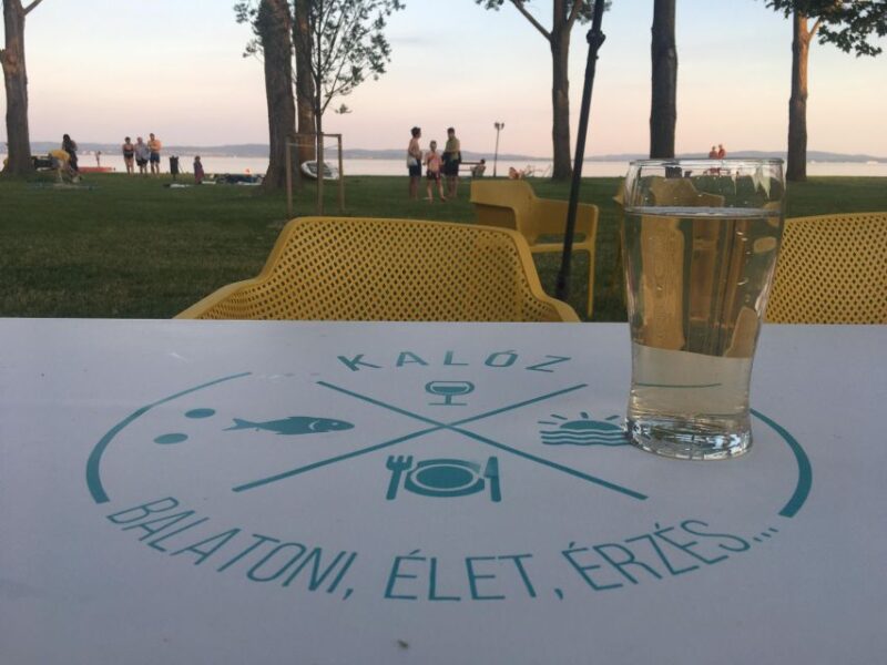 From Budapest: Wine Tasting At Balaton Full Day Private Tour - Participant Requirements