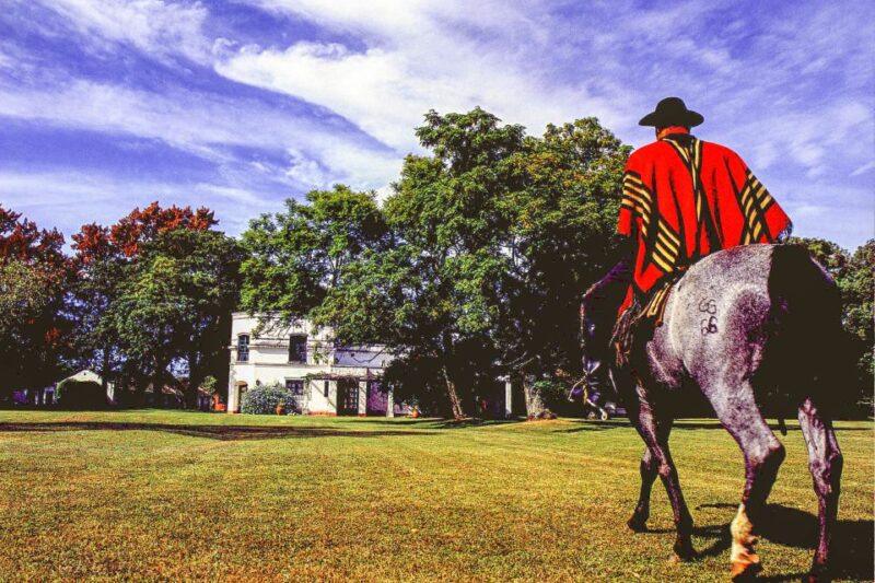 From Buenos Aires: Gaucho and Ranch Day Tour - Experience and Activities
