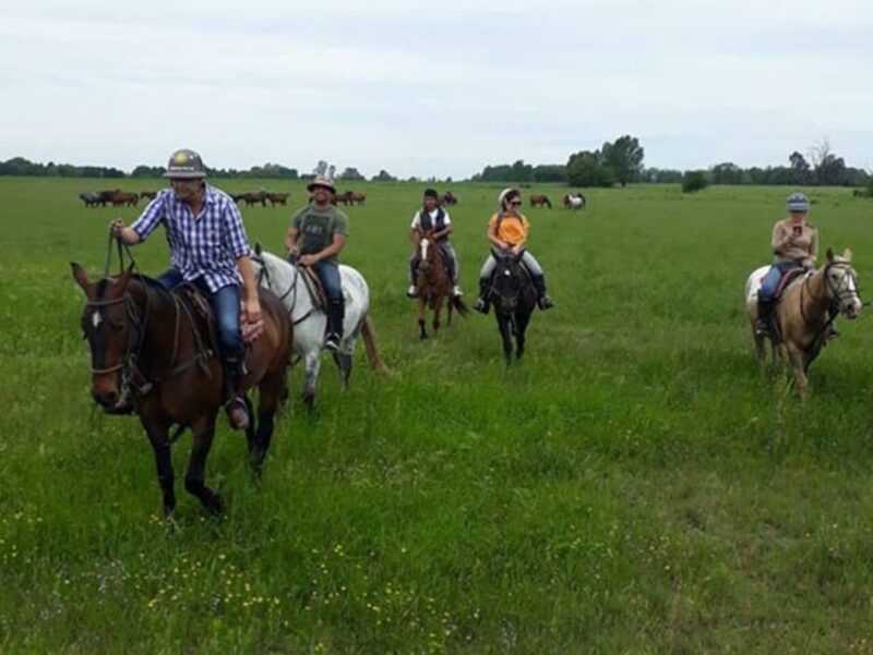 From Buenos Aires: Horseback Riding With BBQ - Key Points