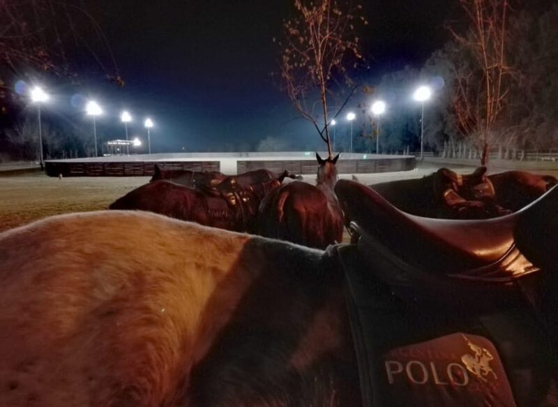 From Buenos Aires: Night Polo Match With BBQ - Key Points