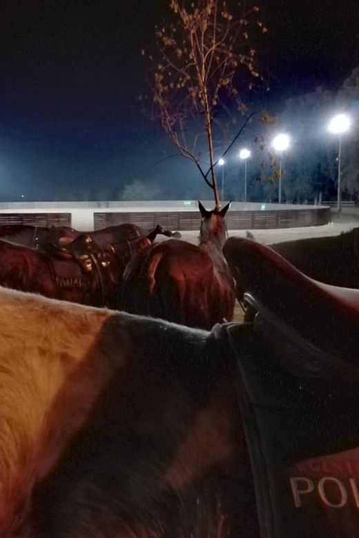 From Buenos Aires: Night Polo Match With BBQ - Booking Details