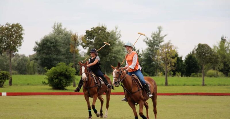 From Buenos Aires: Polo Match, Lesson, and BBQ Day-Trip - Accessibility and Requirements