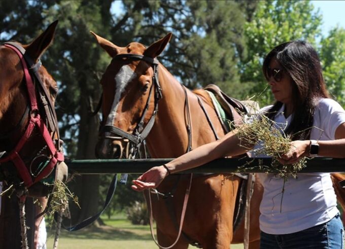 From Buenos Aires: Polo Match, Lesson, and BBQ Day-Trip - Frequently Asked Questions