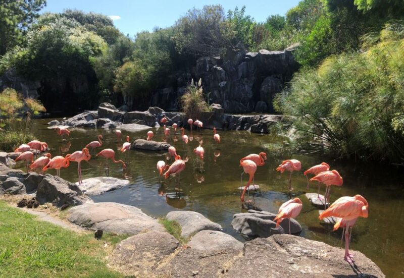 From Buenos Aires: Temaiken Zoo Tour With Ticket Included - Booking Information