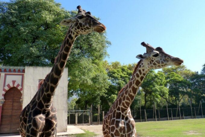 From Buenos Aires: Temaiken Zoo Tour With Ticket Included - Included Services