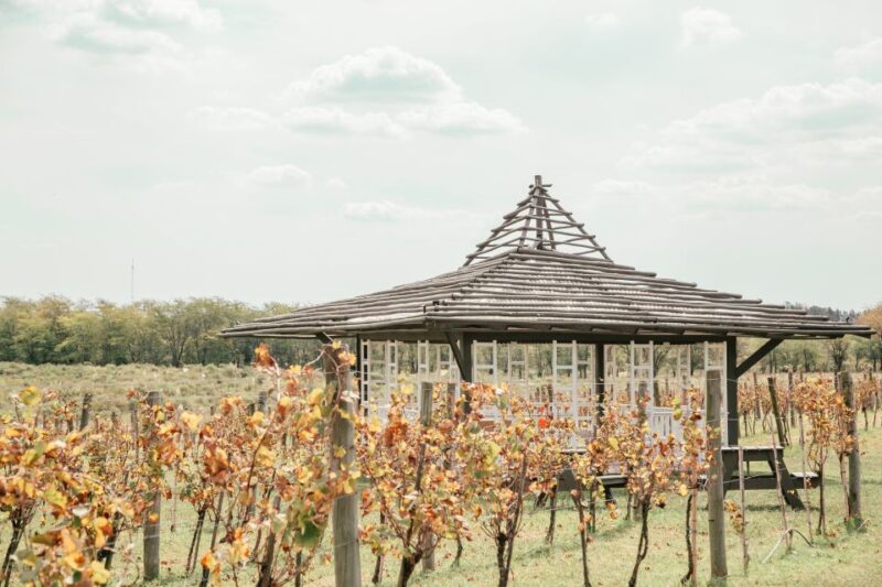 From Buenos Aires: Vineyard Tour With Wine Tasting and Lunch - Key Points