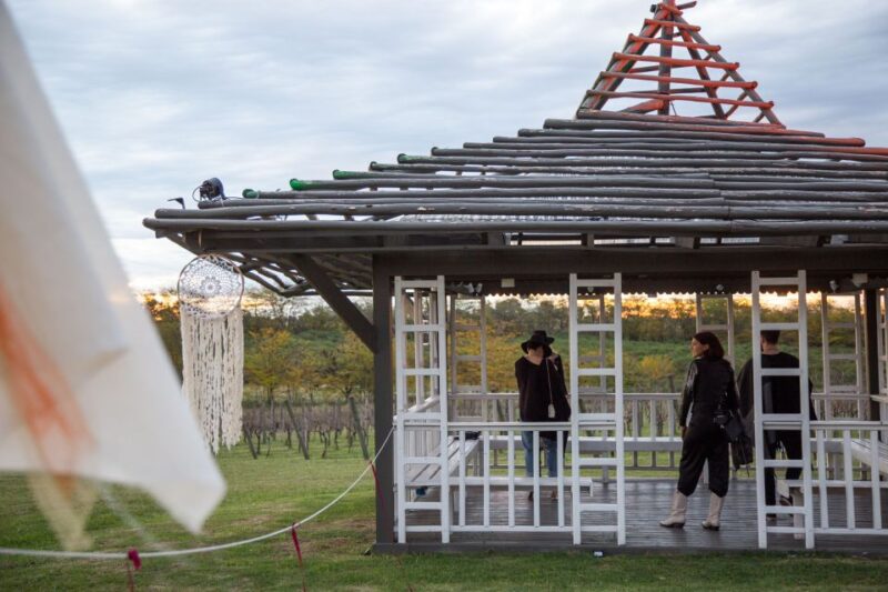 From Buenos Aires: Vineyard Tour With Wine Tasting and Lunch - Location and Accessibility