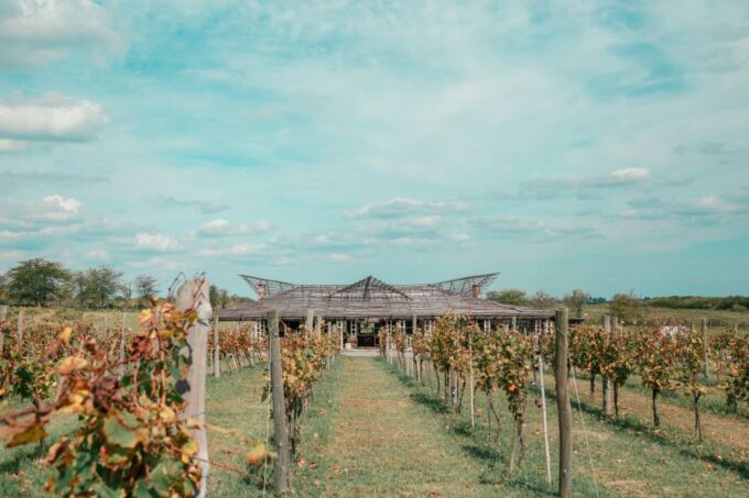 From Buenos Aires: Vineyard Tour With Wine Tasting and Lunch - Frequently Asked Questions