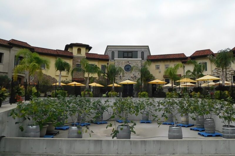 From Buffalo: Customizable Private Day Trip to Niagara Falls - Niagara-on-the-Lake Exploration