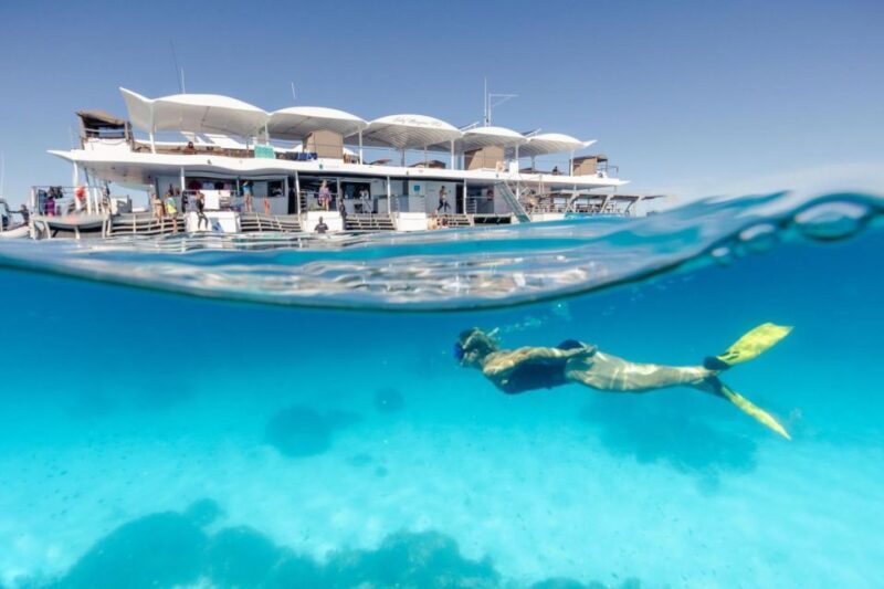 From Bundaberg: Barrier Reef & Lady Musgrave Island Day Tour - Included Activities